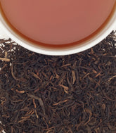 Decaf Apricot